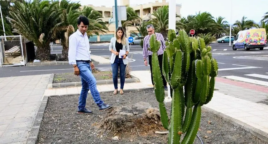 Parte del grupo de concejales de Teguise visitando una zona en mal estado de los jardines.