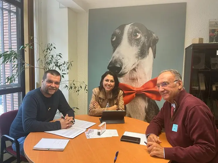 Grupo Territorial Socialistas de Canarias en la Cámara Alta.