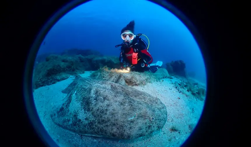 Imagen de la jornada de submarinismo realizada en Yaiza.