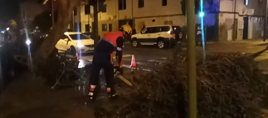 Momento en el que uno de los bomberos cortaba la rama