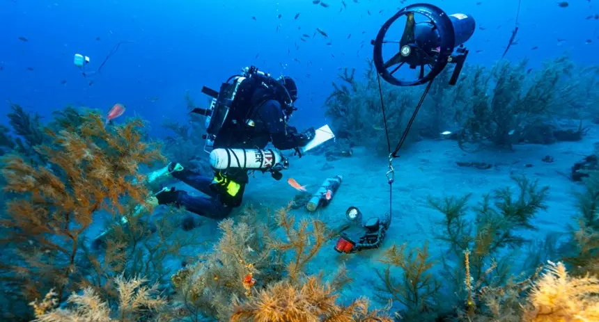 Imagen de la investigación del coral negro de Playa Chica.