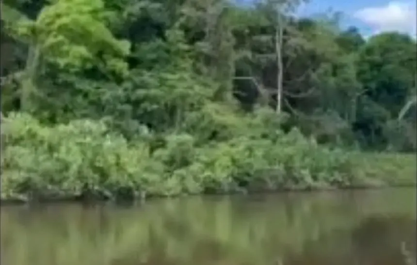 Imagen de la selva amazónica extraida del vídeo publicado por Toñin Corujo.