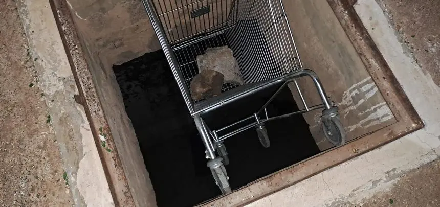 Imagen del carro en la vivienda