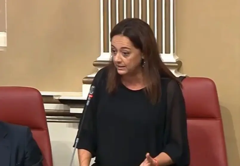 Nereida Calero, diputada del Grupo Nacionalista Canario.