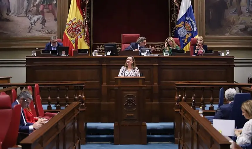 María Dolores Corujo en el Parlamento de Canarias.