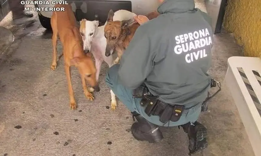Agente del SEPRONA de la Guardia Civil.
