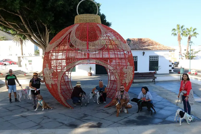 Perros y voluntarios a la llegada a la plaza.