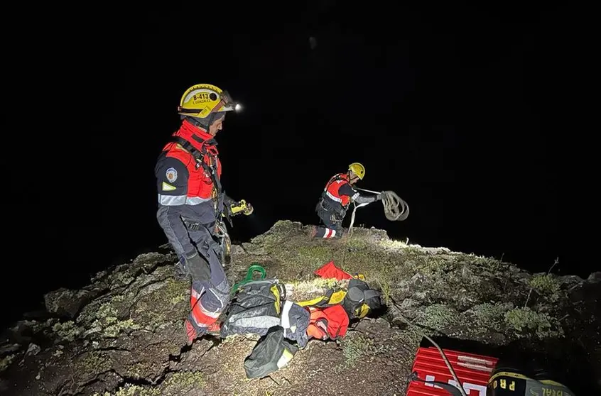 Momento de la actuación de los bomberos para rescatar al animal en dificultades