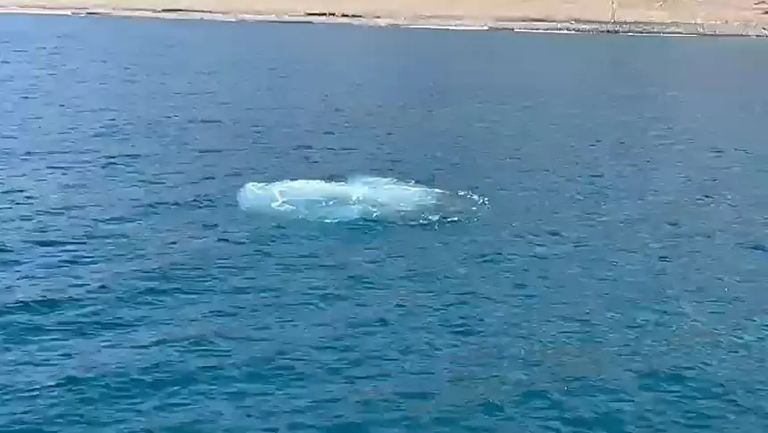 Imagen del agua de la tubería saliendo tras la rotura.