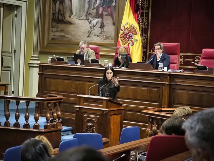 Vidina Espino en el Parlamento de Canarias.