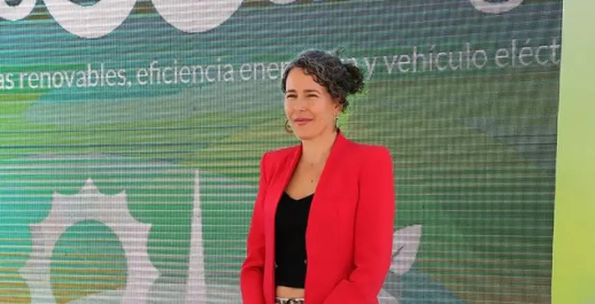 Ariagona González, consejera del PSOE y diputada nacional.