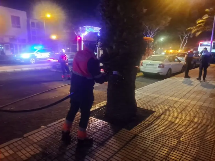 Los bomberos sofocan el fuego de una palmera en la Rambla Medular.