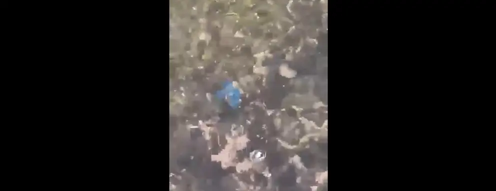 Imagen del pez llamativo encontrado por los pescadores de La Santa