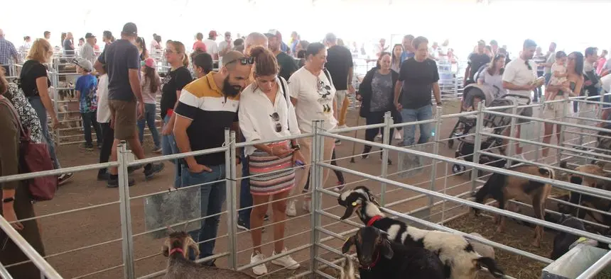 Imagen de la gente visitando la feria