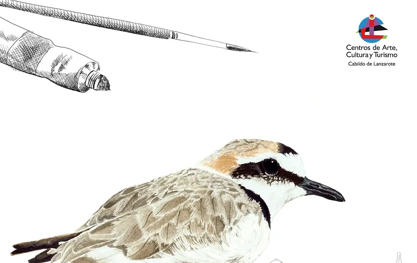 Taller de Ilustración Naturalista y Científica de los CACT.