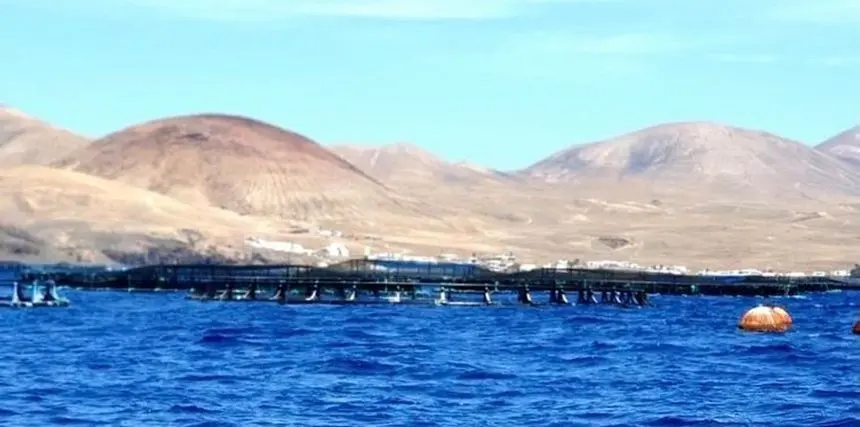 Imagen de archivo de las jaulas de Playa Quemada.