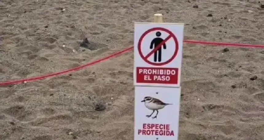 Imagen de la zona protegida de Playa Honda.