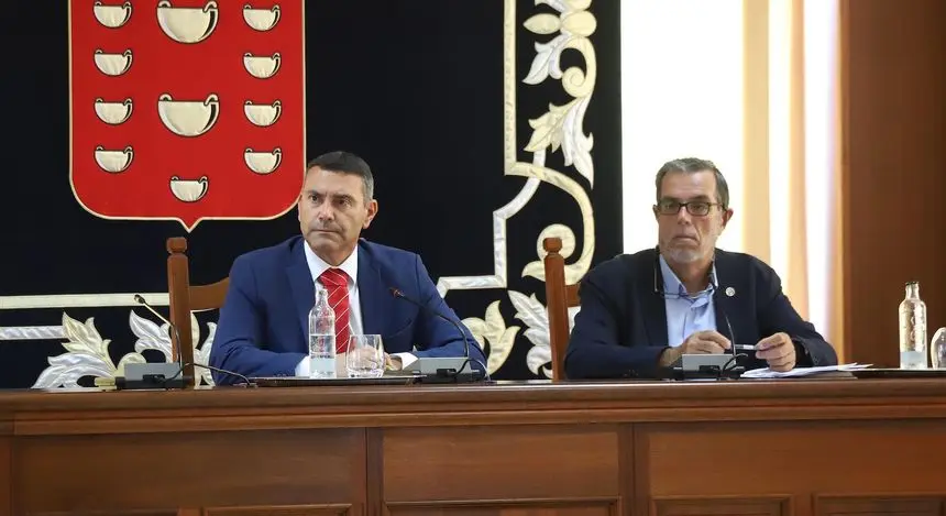 Imagen del pleno del Cabildo sobre las jaulas