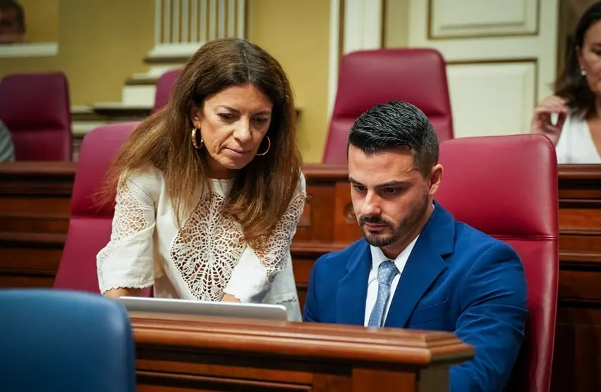 David Toledo en el Parlamento de Canarias.