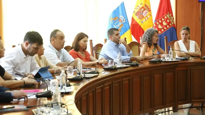 Imagen de los consejeros del PSOE en un pleno del Cabildo.