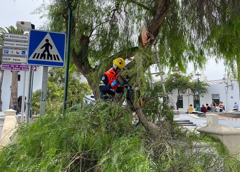 Un bombero tala las ramas de un árbol que podían ser peligrosas en Yaiza.