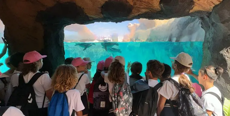Niños participantes en la actividad desarrollada en el Rancho Texas.