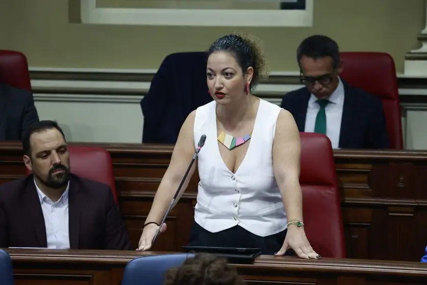 Jana González, diputada del Grupo Nacionalista Canario (CCa).