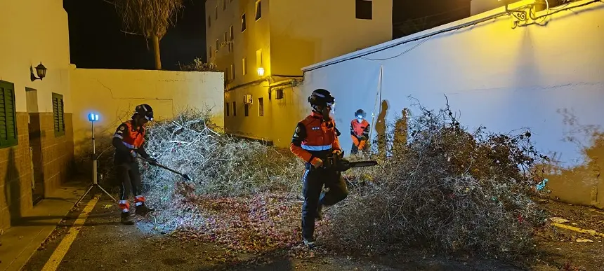 Bomberos durante la retirada del árbol caído.