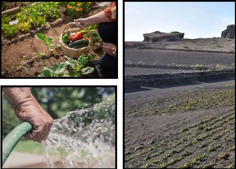 Curso Cultivos Agroecológicos 