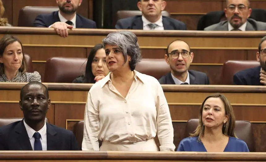 nueva diputada psoe canarias