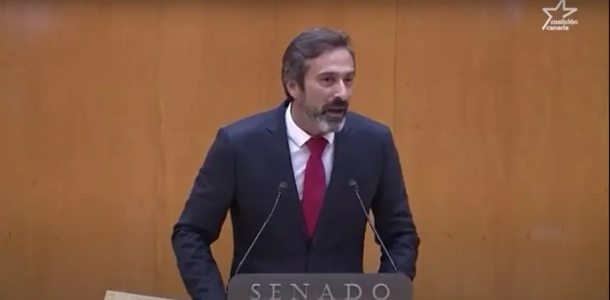 Pedro San Ginés en el Senado durante su intervención.