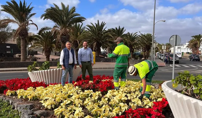 Roberto Herbón y Yonathan de León durante la colocación de las plantas.