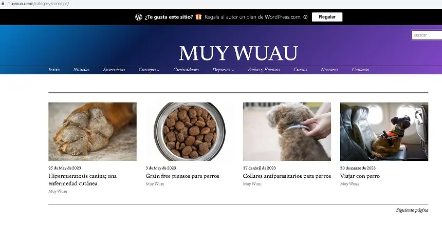Imagen de la página en su estreno en Internet. 