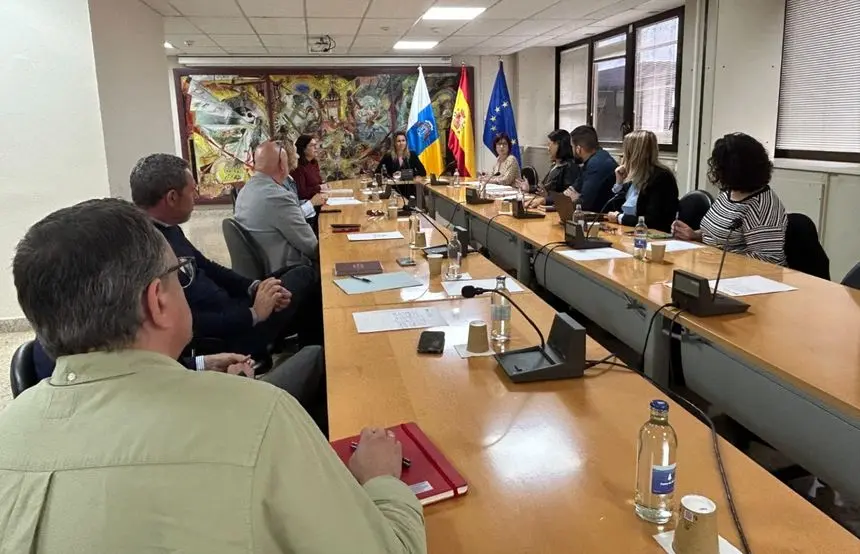 La directora general de Transporte ha mantenido un encuentro con representantes de las administraciones insulares para establecer una hoja de ruta que permita la correcta implementación de la gratuidad del transporte público regular de viajeros en Canarias.