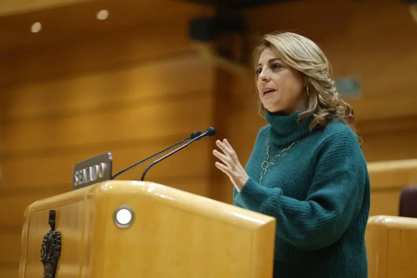 Cristina Valido este lunes en el Senado.