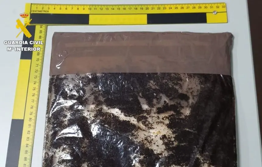 Droga incautada por la Guardia Civil en Arrecife.