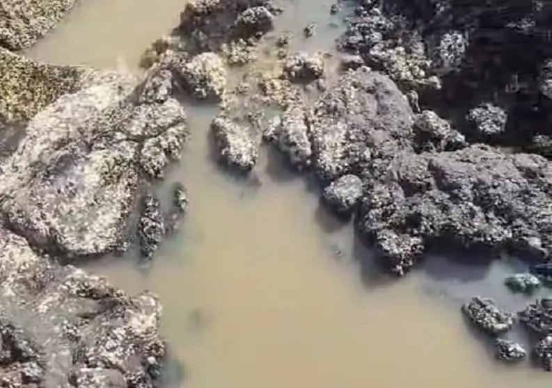 Aguas fecales en Punta Mujeres.