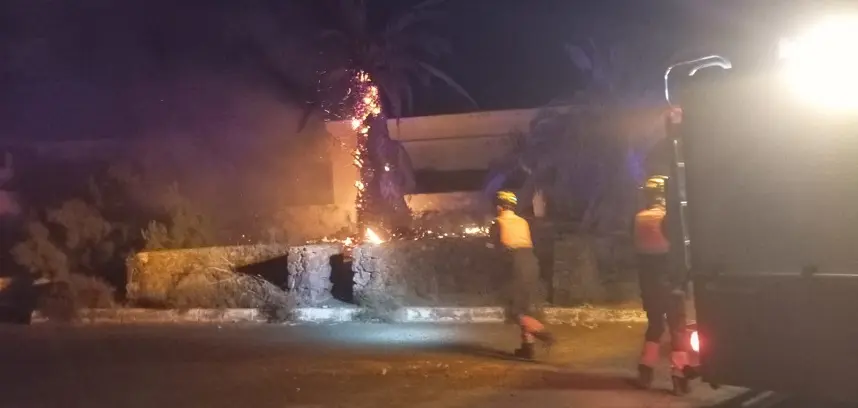 Bomberos del Consorcio de Seguridad y Emergencias apagando el incendio de una palmera.