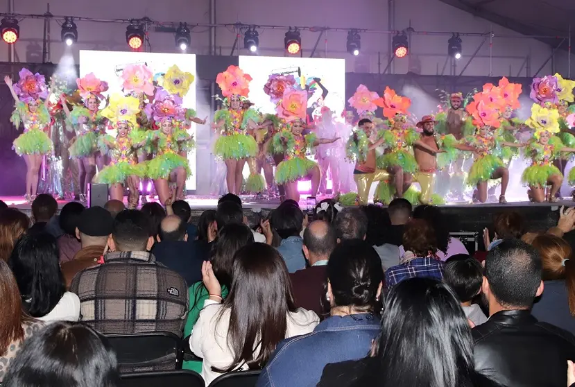 Timafeiros en la actuación del carnaval.