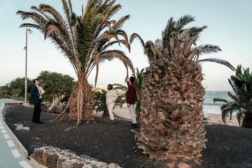 Aìngela CanÞaveras junto a Marcos Bergaz y David Asorey (PSOE) en Costa Teguise 