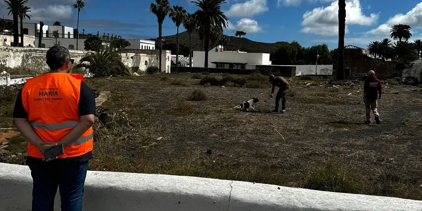 Perros de la Unidad Canina en Haría.