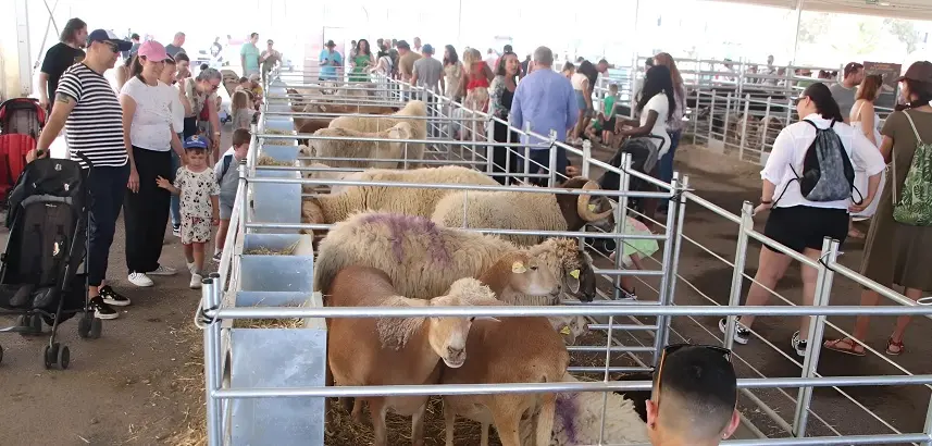 Diferentes visitantes de la muestra de Uga.