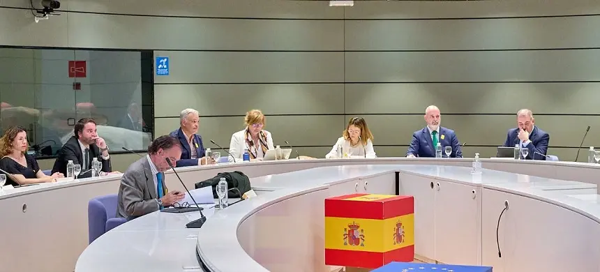 Elena Zárate Comisión Sectorial Reto Demográfico 2