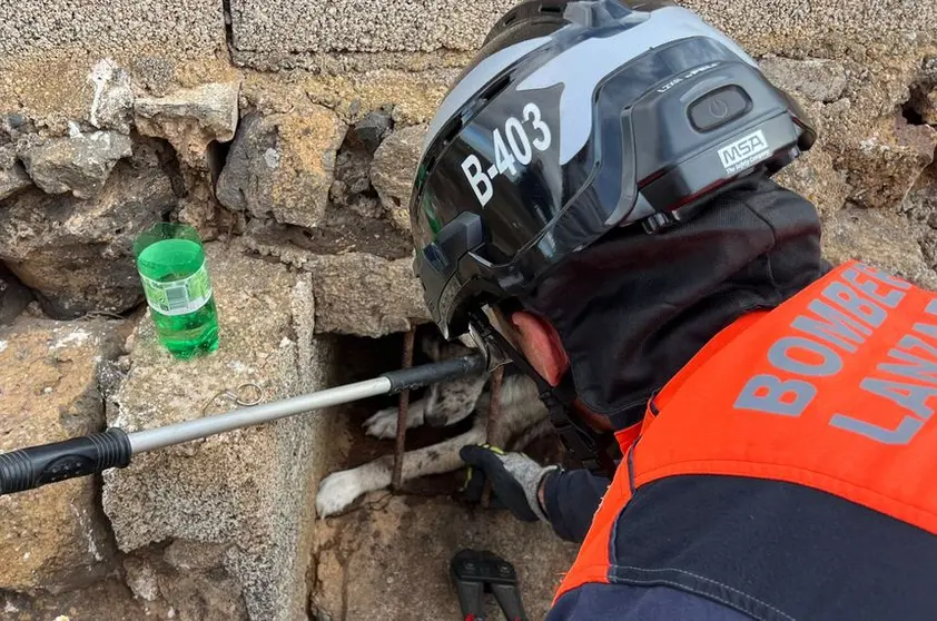 Un bomberos ayuda al perro atrapado en un aljibe en Arrecife.