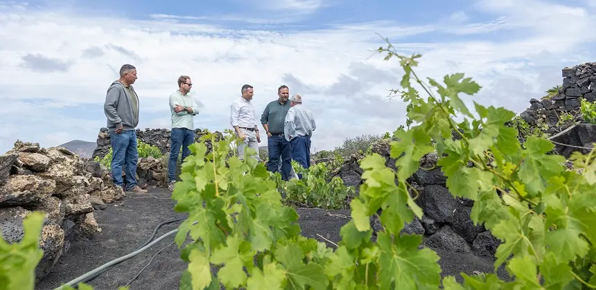 Visita a una de las fincas de La Geria.