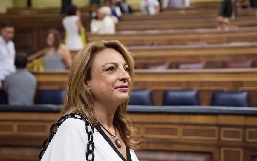Cristina Valido en el Congreso de los Diputados.