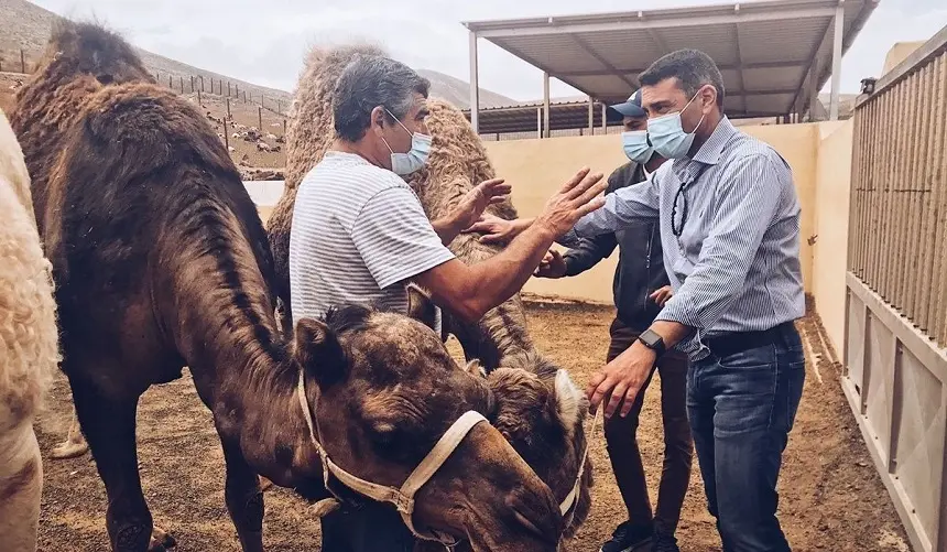 Oswaldo Betancort junto a un camello.