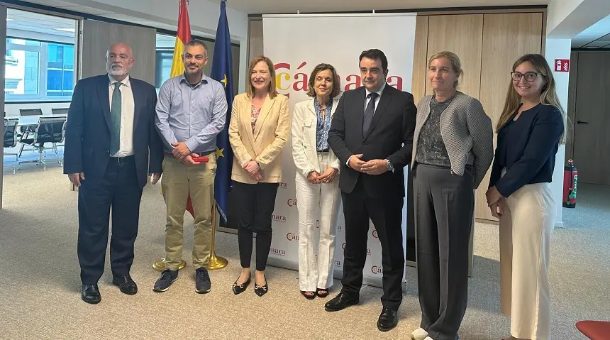 La comitiva que fue a Bruselas con el presidente de la Cámara de Lanzarote al frente.