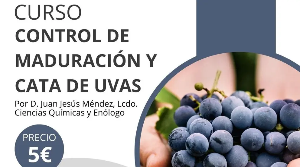 Curso de control de maduración y cata de uvas.