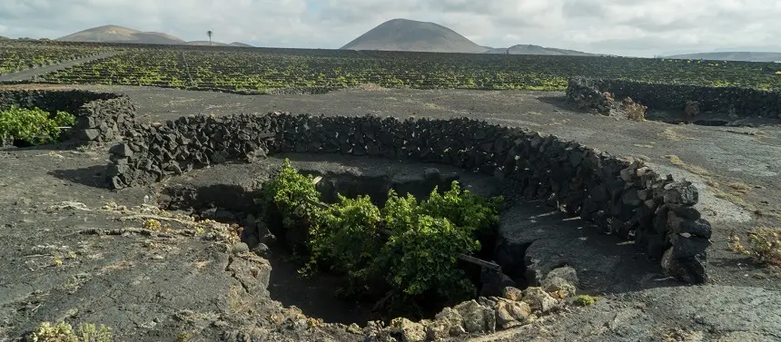 Paisaje CRDO